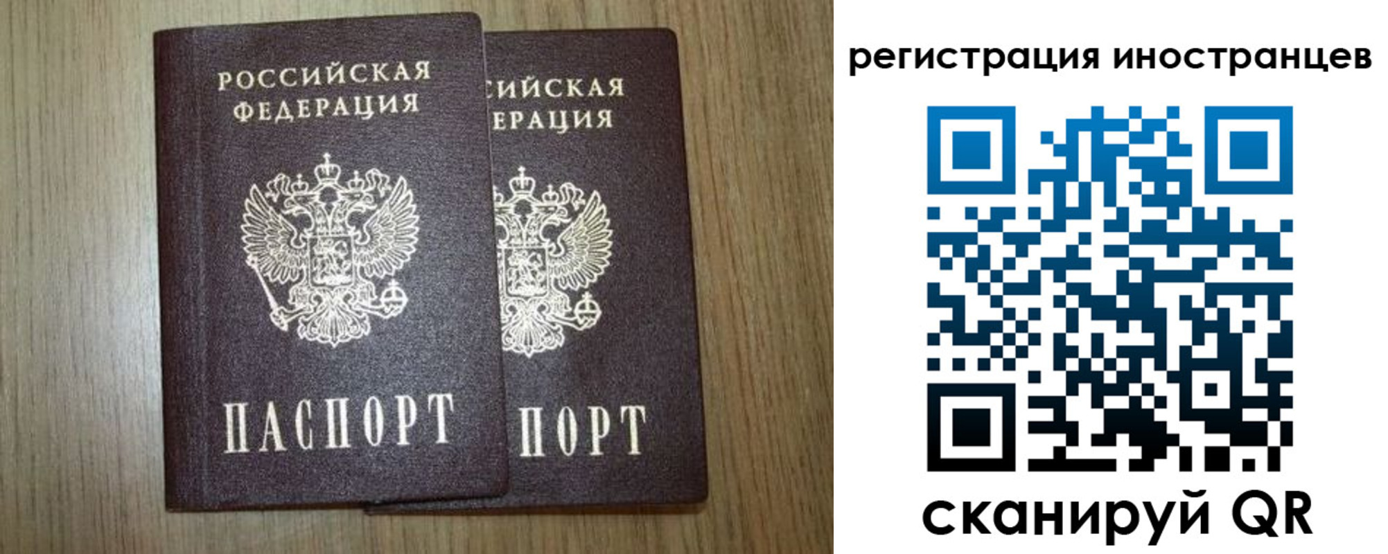 прописка для школы в Щиграх