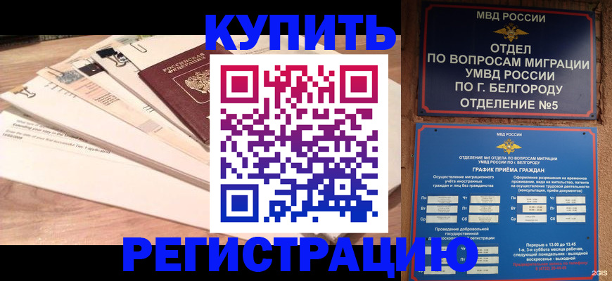 временная регистрация в Щиграх